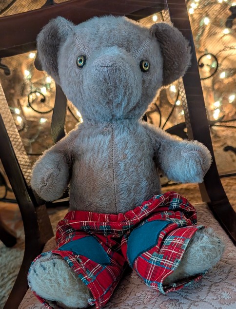 Scratchy the teddy bear